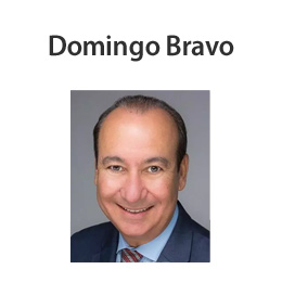 Domingo Bravo : Allstate Insurance Website Image