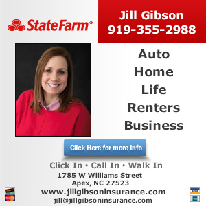 Jill Gibson - State Farm Insurance Agent Website Image