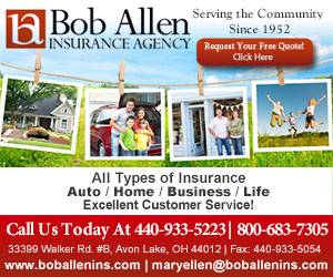 Bob Allen Insurance Agency Inc. Website Image