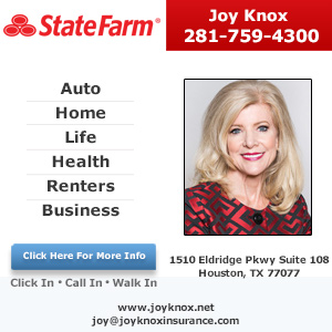 Joy Knox - State Farm Insurance Agent Website Image